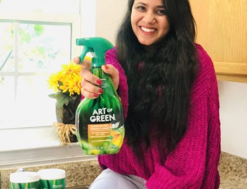 MY FAVORITE GREEN CLEANER + FREE PRINTABLE OF THINGS YOU SHOULD WIPE DOWN DAILY IN YOUR HOME