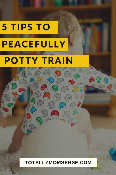 how to potty train toddler