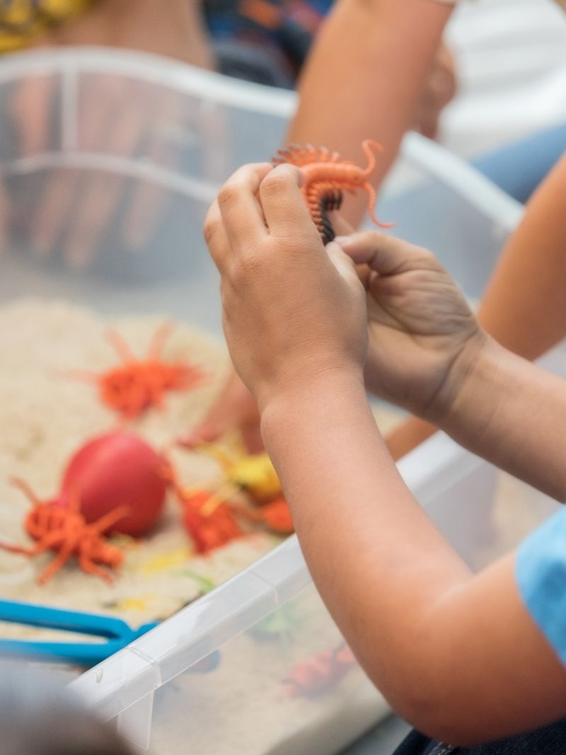 introducing sensory bins to toddlers